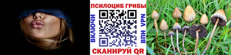 Галлюциногенные грибы ЛСД  Заринск 